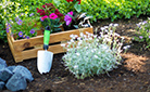 Tips on Flower Planting