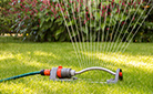 How To Water Your Lawn Correctly