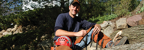 Top 10 Questions to Ask When Hiring a Tree Care Service