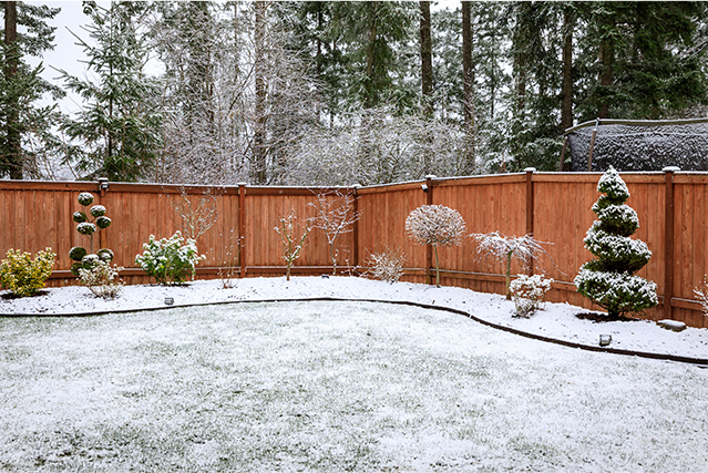  Winter Landscaping Tips 