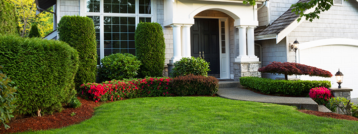 Perfect Your Landscape with STIHL Precision Series™ Hand Tools