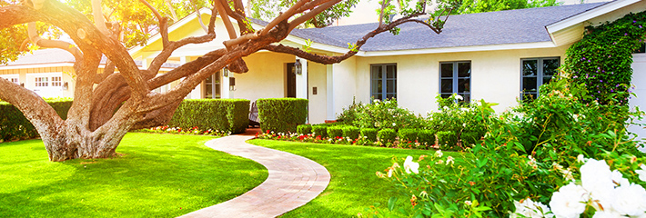 Add Curb Appeal to Your Home