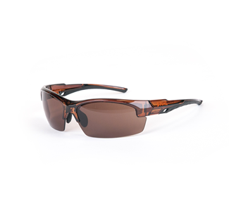 Image of bowcutglasses