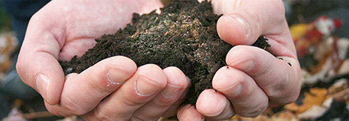 Composting Tips