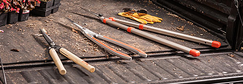 How to Prune Your Property