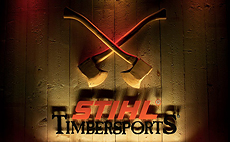 Go to 2013 Professional Competitors