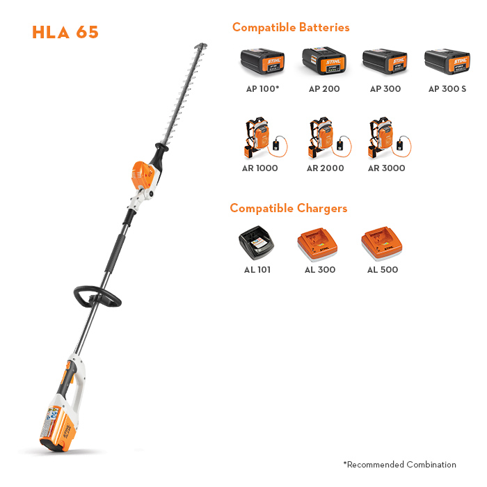 HLA 65