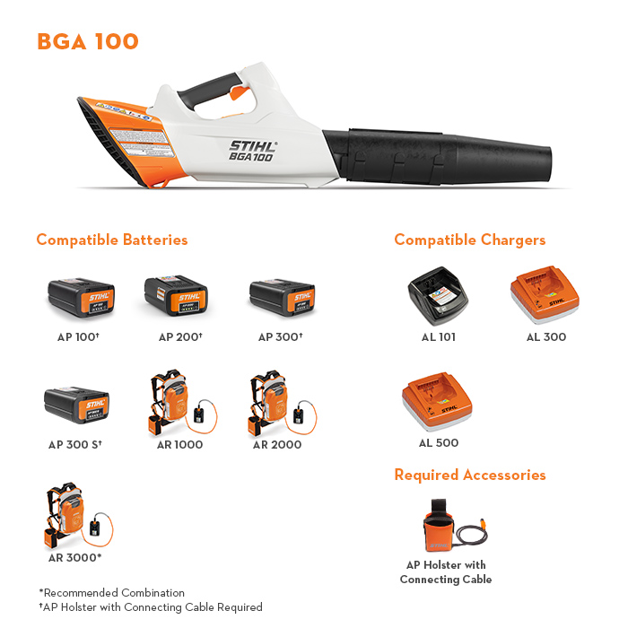 BGA 100