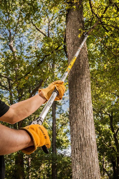 PP 100 Extended Reach Pruner